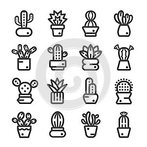 Cactus,succulent plant icon