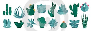 Cactus and succulent plants. Cartoon prickly decorative botanical garden elements, cute agave and cacti with thorns and