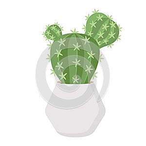 Cactus and succulent in pot domestic colorful cartoon vector illustration