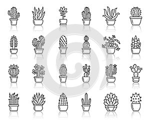 Cactus succulent simple black line icon vector set