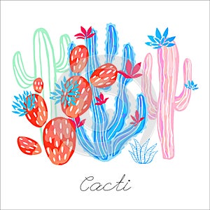 Cactus succulent wild flowers colorful watercolor sketch style print.