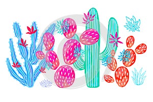 Cactus succulent wild set flowers colorful watercolor pink collections. Houseplant beautiful set on white background.