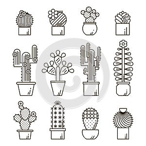 Cactus and succulents vector line icon set. Exotic floral garden silhouettes. Nature cacti outline design illustration