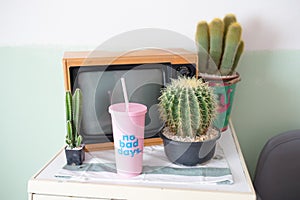 Cactus, television and Plastic glass