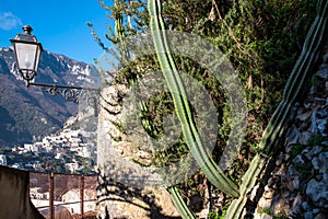 Cactus on terrace with scenic view of the colorful houses of the coastal town Positano on the Amalfi Coast, Campania, Italy