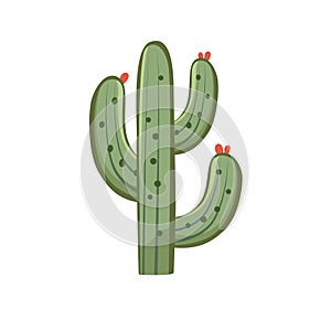 Cactus tree cartoon illustration, cacti plant vector image