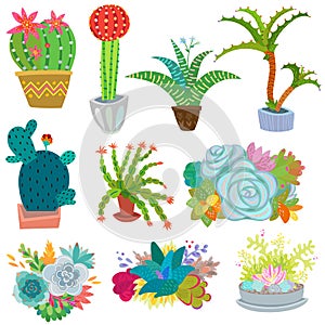 Cactus vector botanical cacti potted cute cactaceous succulent plant botany illustration floral set of cartoon exotic