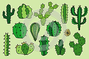 Cactus vector doodle img