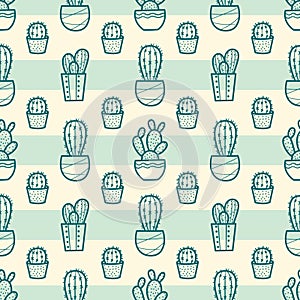 Cactus vector pattern with stipes, hand drawn house plants seamless background