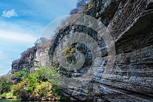 Cactus wall on the cliff in Sumidero Canyon