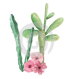 Cactus Watercolor Green Pink Flowers Cacti Arrangement Bouquet