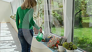 Cactus watering girl