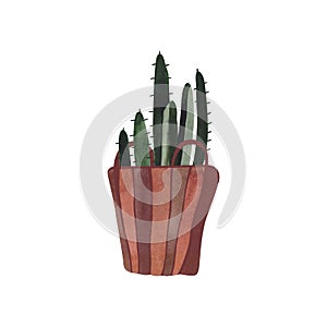 Cactus in a wicker basket. Plants for the home. Floriculture. Interior decoration. Isolated watercolor illustration on