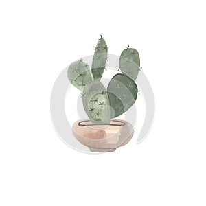 Cactus in a wide light concrete pot. Plants for the home. Floriculture. Interior decoration. Isolated watercolor