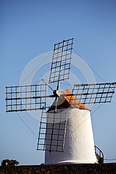 Cactus windmills isle of lanzarote africa