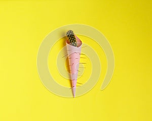 Cactus on yellow background. Minimal fashion Stillife.