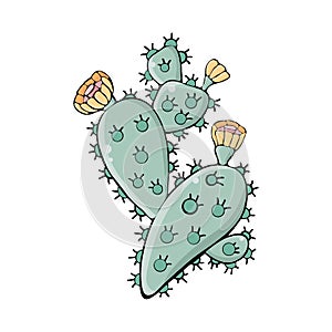 Cactus with yellow flowers in vector. Opuntia. Hand drawn illustration. Objects isolated isolated on white background. Coloring.