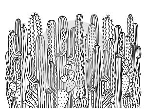 Cactuses background. Succulent vector hand drawn illustration for design isolated