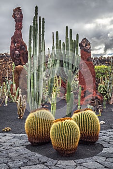 Cactuses in the Cactus garden, Lanzarote, Canary Islands, Spain