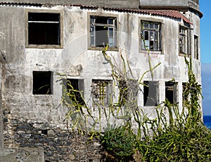 With cactuses overgrown morbid house at the sea