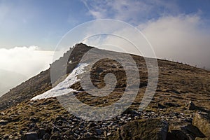 Cadair Berwyn mist