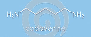 Cadaverine foul smelling molecule. Skeletal formula.