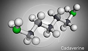 Cadaverine, pentamethylenediamine molecule. It is foul-smelling diamine formed by bacterial decarboxylation of lysine. Molecular photo