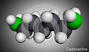 Cadaverine, pentamethylenediamine molecule. It is foul-smelling diamine formed by bacterial decarboxylation of lysine. Molecular