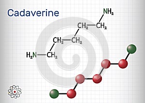 Cadaverine, pentamethylenediamine molecule. It is foul-smelling diamine formed by bacterial decarboxylation of lysine. Sheet of