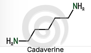 Cadaverine, pentamethylenediamine molecule. It is foul-smelling diamine formed by bacterial decarboxylation of lysine. Skeletal photo