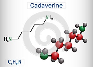 Cadaverine, pentamethylenediamine molecule. It is foul-smelling diamine formed by bacterial decarboxylation of lysine. Structural photo