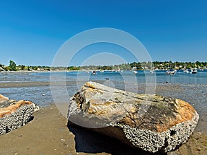 Cadboro Bay beach photo