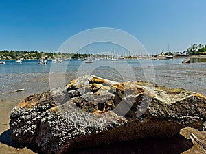 Cadboro Bay beach photo