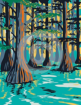 Caddo Lake State Park with Bald Cypress Trees in Harrison and Marion County East Texas USA WPA Poster Art