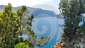 Cade juniper shrubs swings on the coast of Black sea