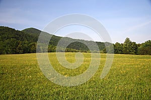 Cades Cove