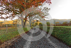 Cades Cove