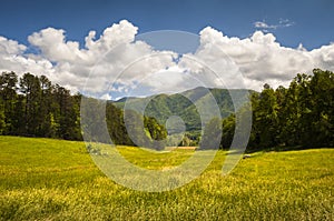 Cades Cove Great Smoky Mountains National Park Spring Scenic Landscape