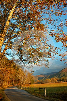 Cades Cove Road.