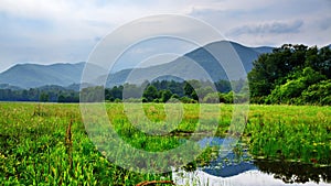 Cades Cove in the Smoky Mountains