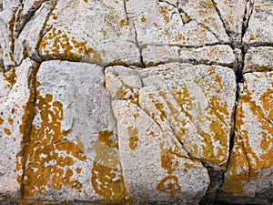 Cadillac Mountain Granite with Yellow Lichen