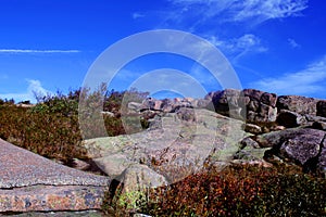 Cadillac Mountain landscape