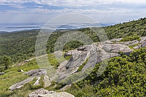 Cadillac Mountain View