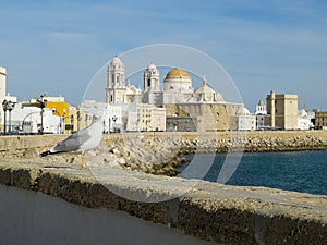 Cadiz Cathedral in Paseo Campo del Sur. Cadiz, Spain.