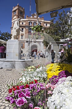 Cadiz flower market Plaza de las Flores aka Plaza de Topete, w photo