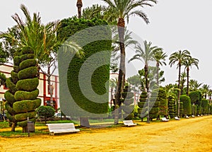 Cadiz in Spain. Genovese green park
