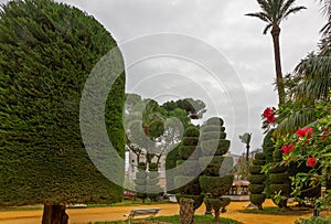 Cadiz, Spain. Green trees in Genovese picturesque park