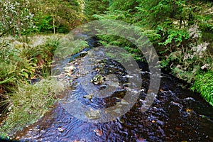 Cadshaw brook. photo
