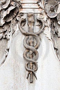 Caduceus