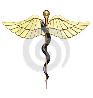 Caduceus Medical Symbol and Black Snake